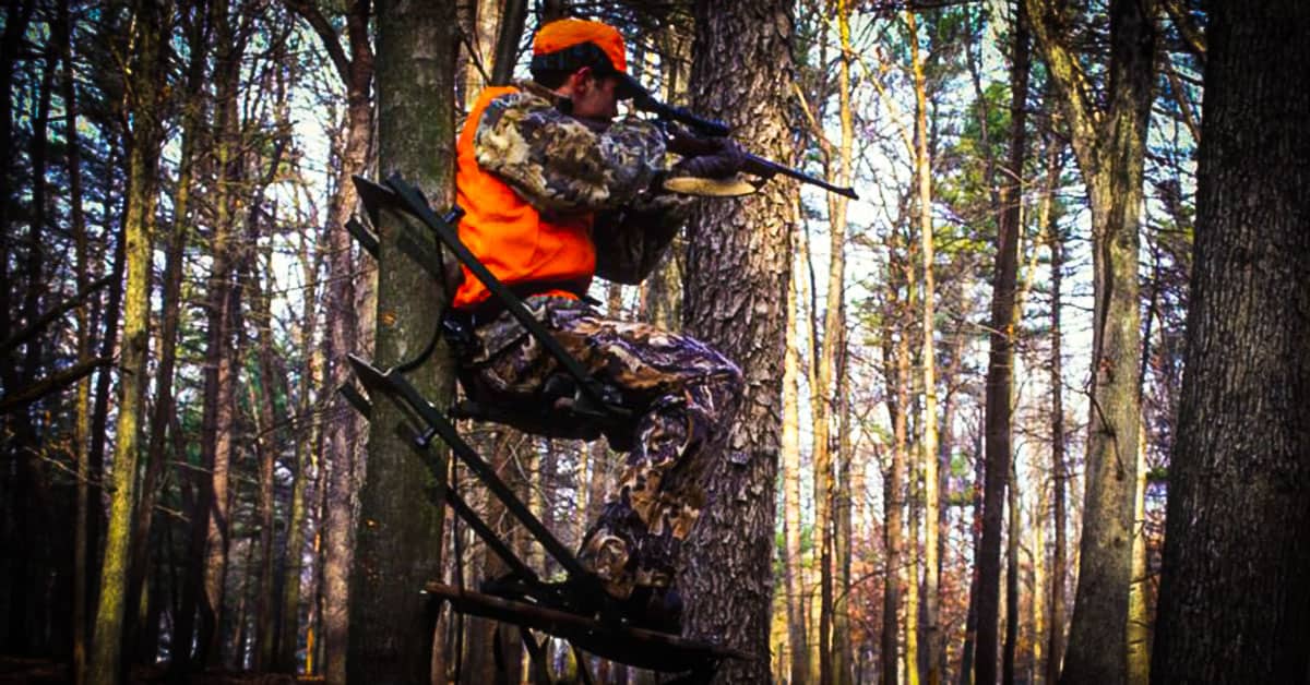 best climbing tree stand